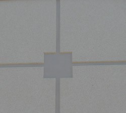 Medallion
